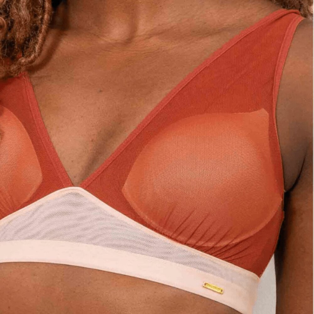 Asha Mesh Plunge Bralette - Terracotta/Blush
